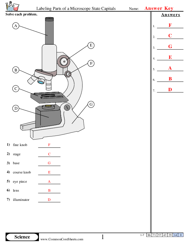 Science Tools Worksheets